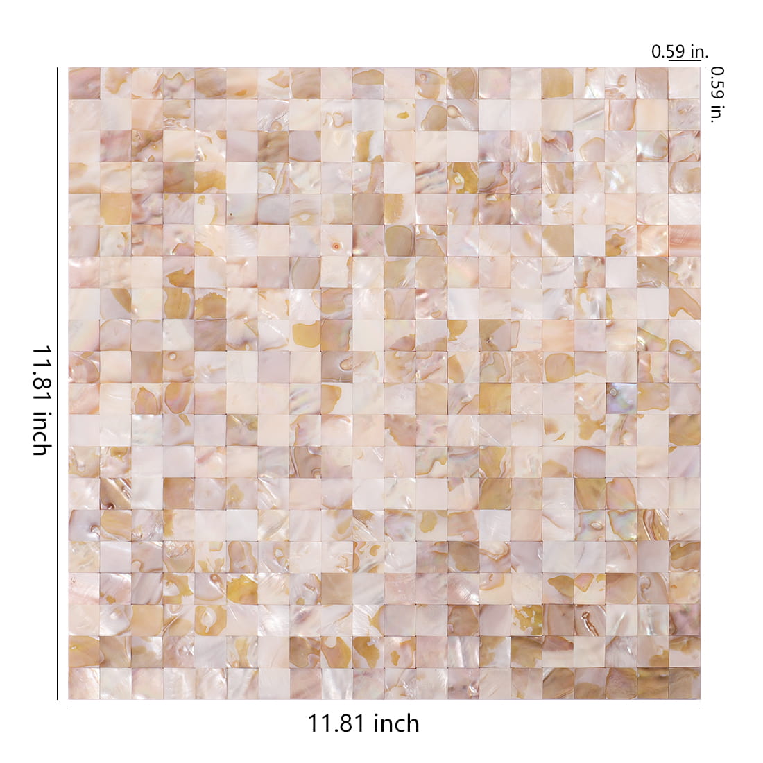 Size diagram of beige mother of pearl mosaic tile sheet, 11.81 x 11.81 in