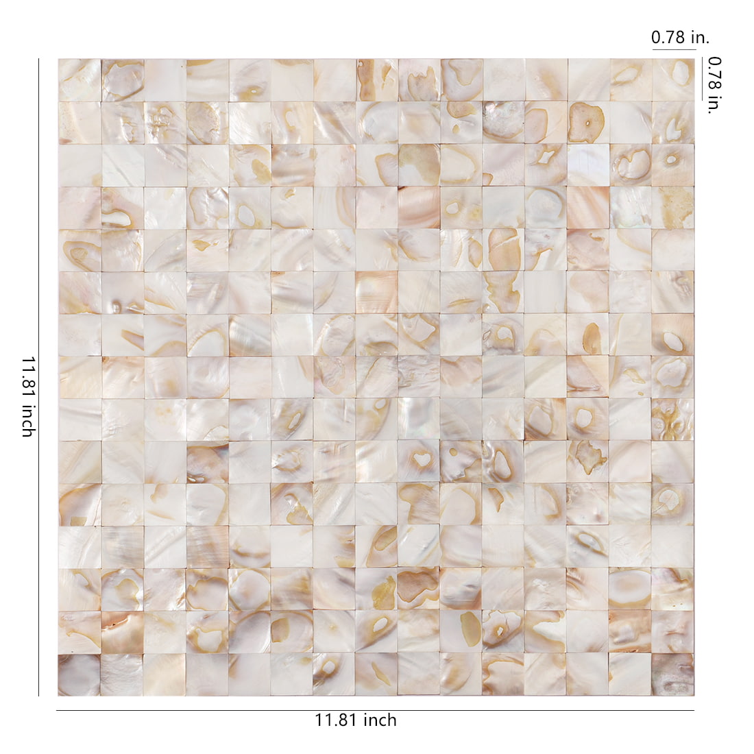 Size diagram of beige natural shell square mosaic tile sheet 11.81 x 11.81 inches