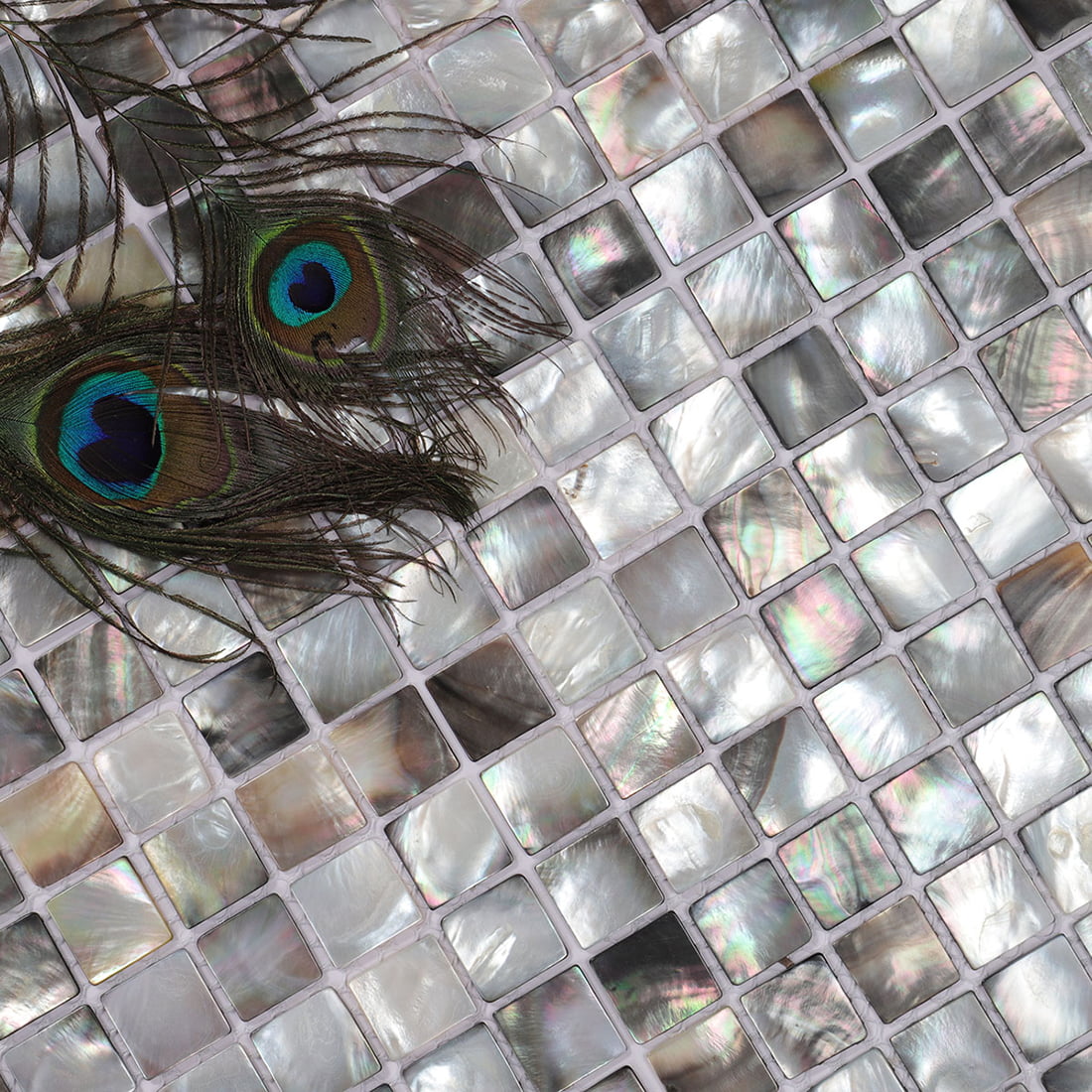 Closeup of iridescent black mother of pearl mosaic tiles with peacock feather