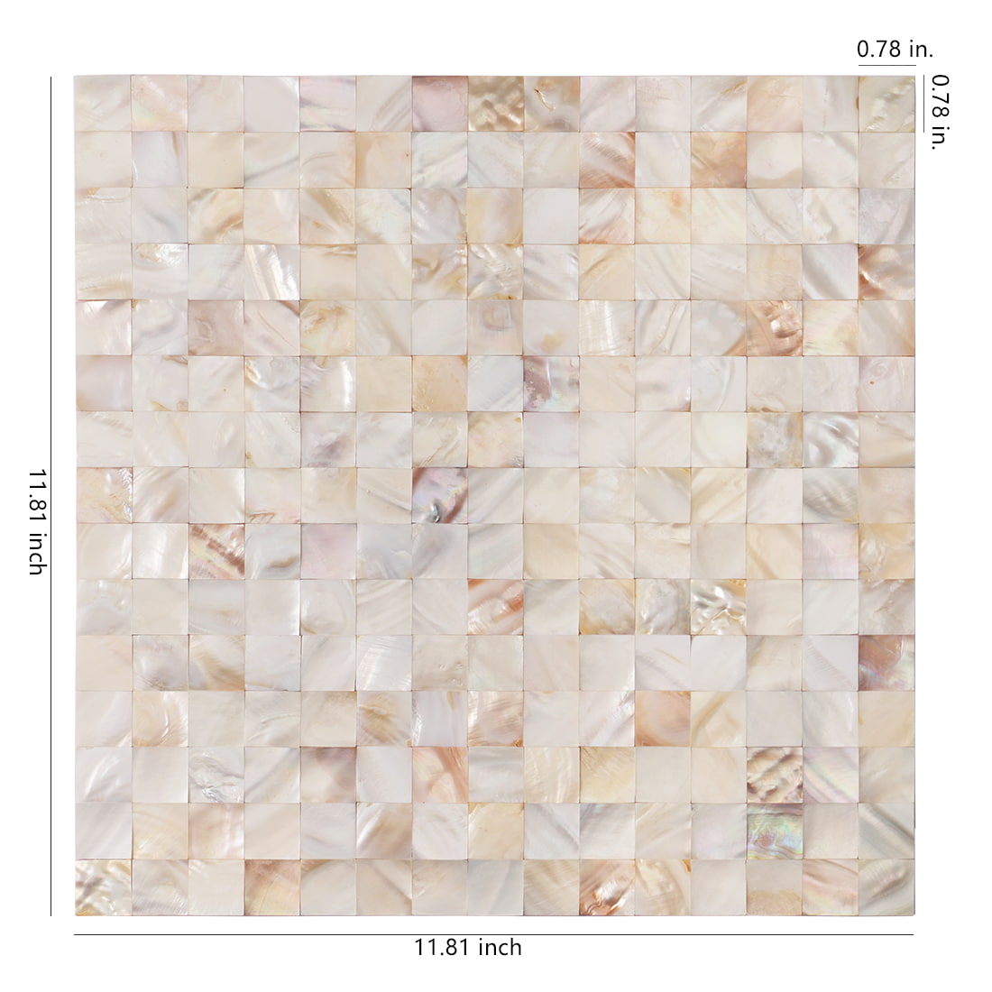 Size diagram of cream white mother of pearl mosaic sheet 11.81 x 11.81 inches