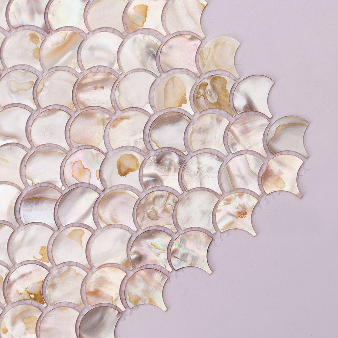 Corner view of fish scale mother of pearl mosaic tile sheet on lavender background