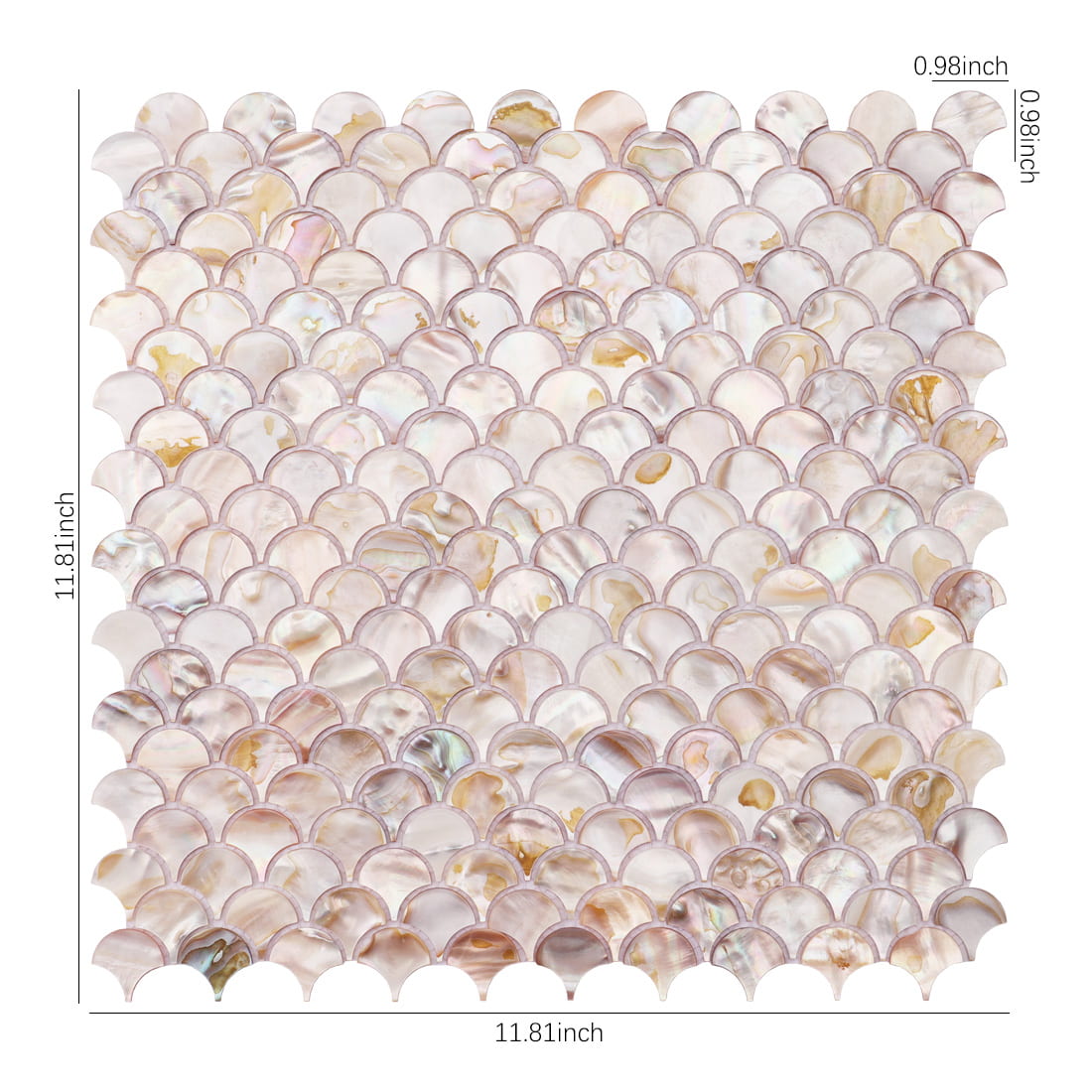 Fish scale mother of pearl mosaic sheet with size dimensions on white background