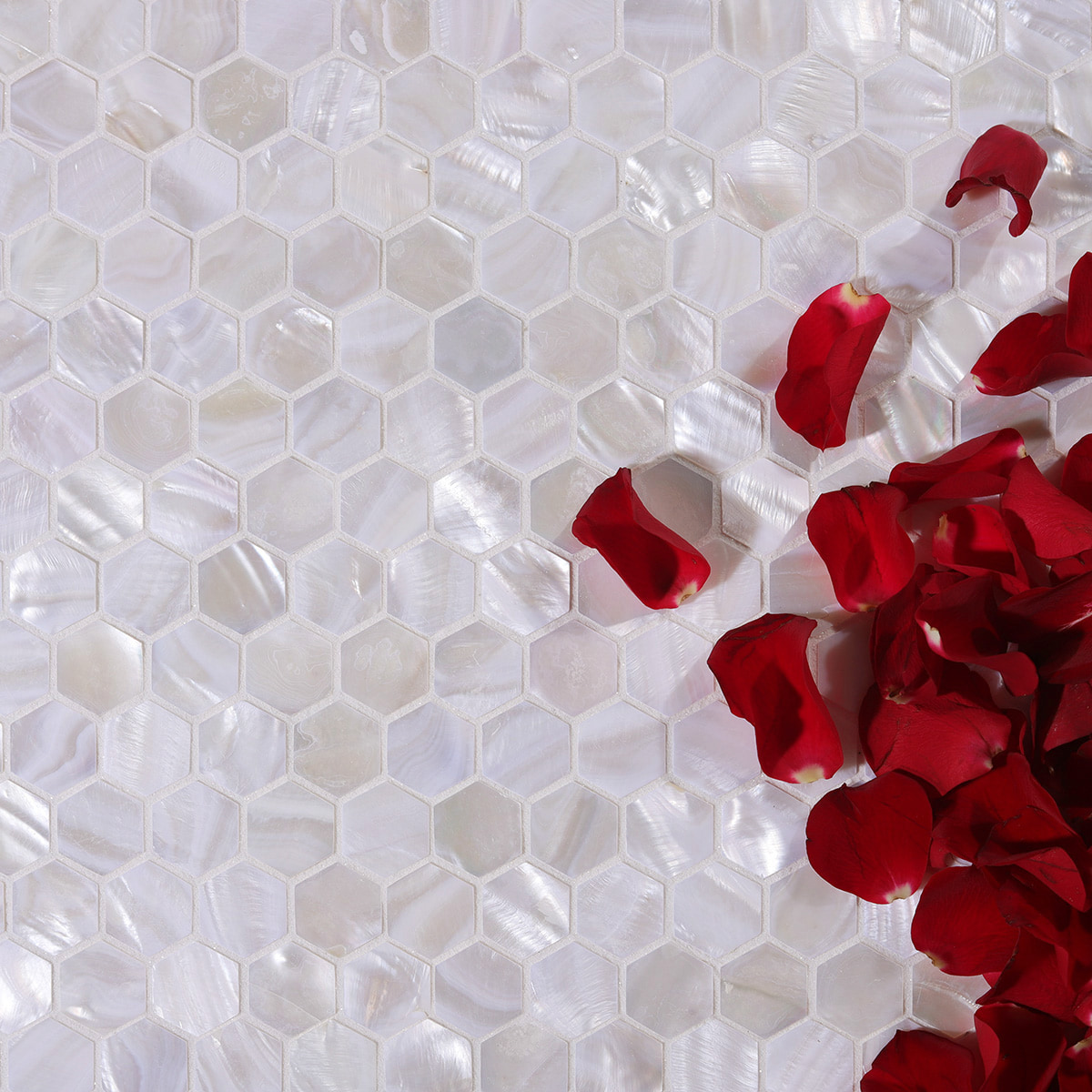 Natural white mother of pearl hexagon mosaic tile with rose petals flat lay