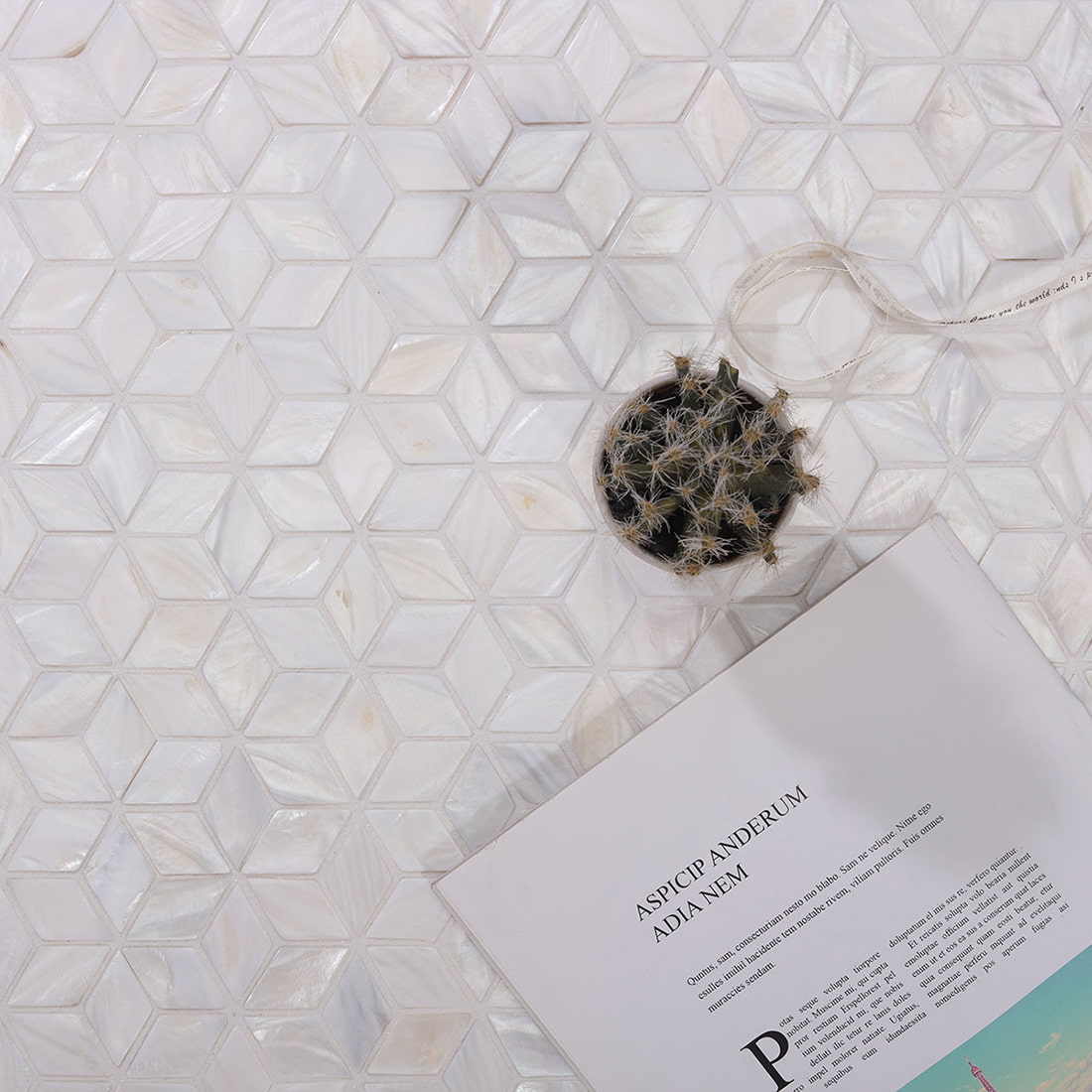 White shell cube mosaic tile with book and cactus styling