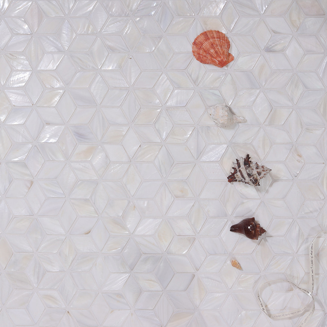 Flat lay of shell cube mosaic tile with seashell decor