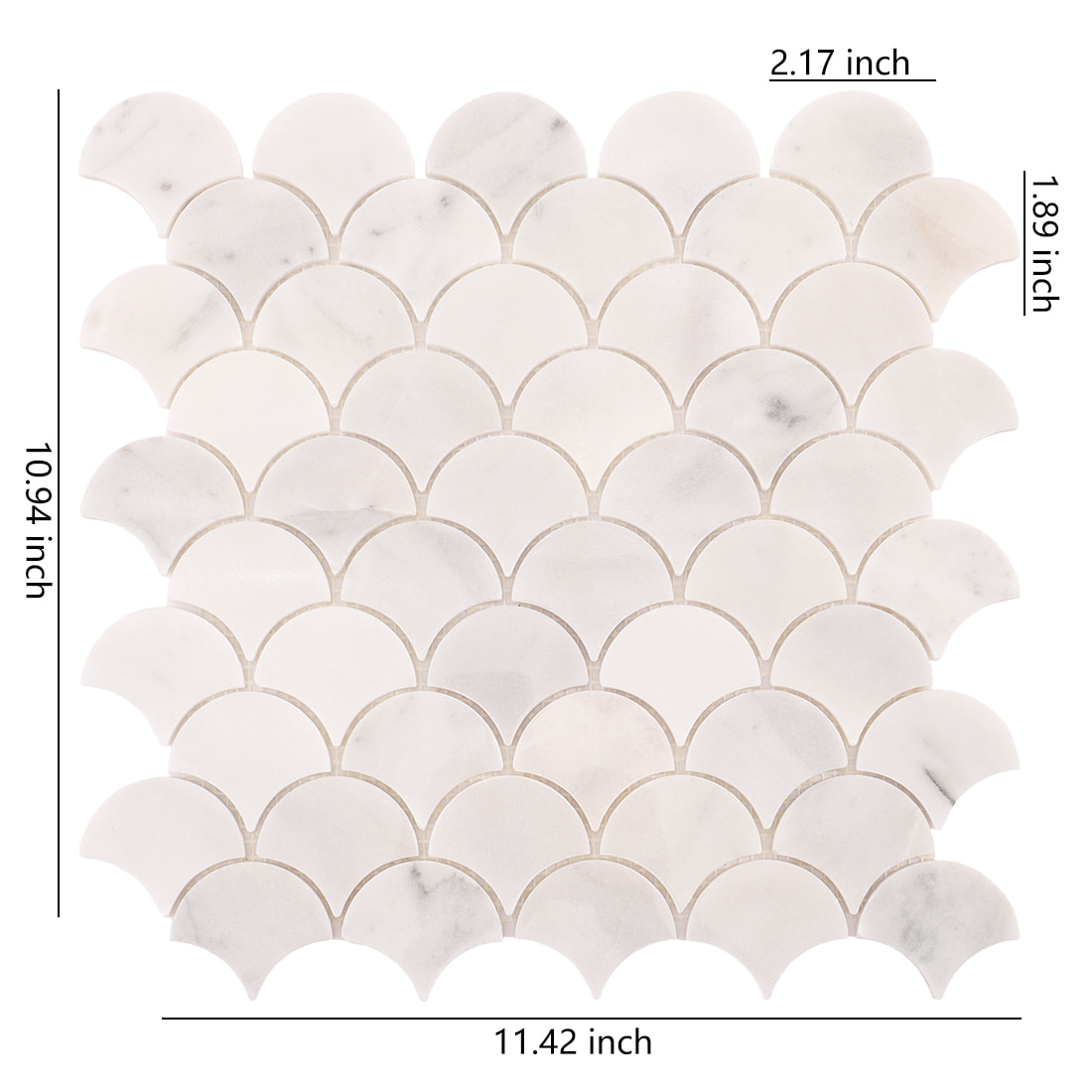 White marble fan scallop mosaic tile sheet with size measurements on white background