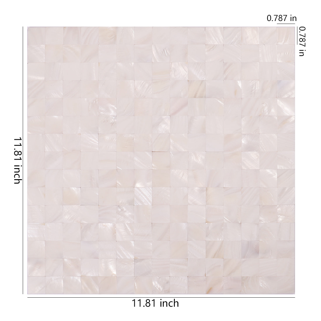 Size diagram of white mother of pearl mosaic tile sheet, 11.81 x 11.81 in