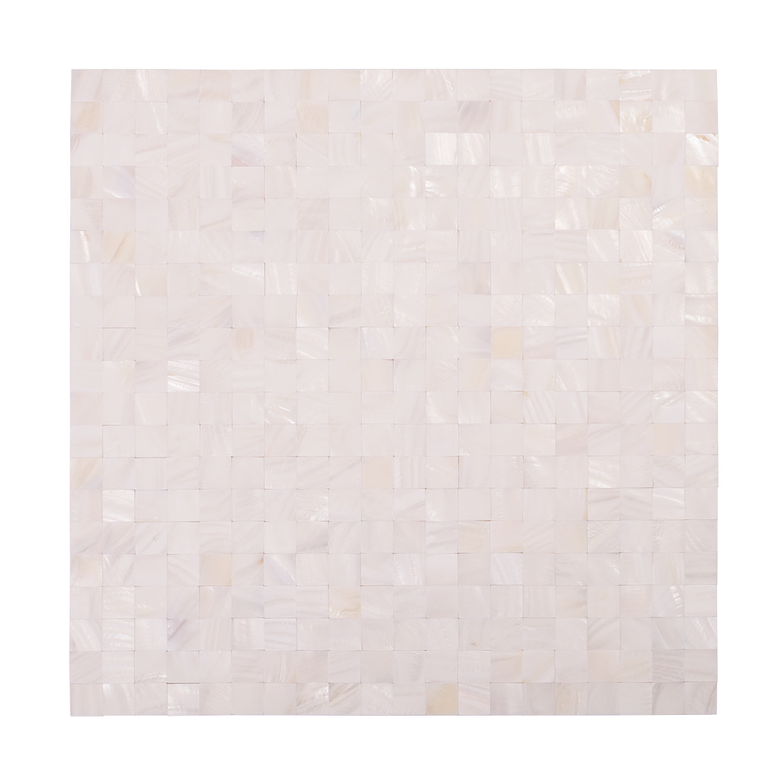 Front view of a white shell mosaic tile sheet on a white background
