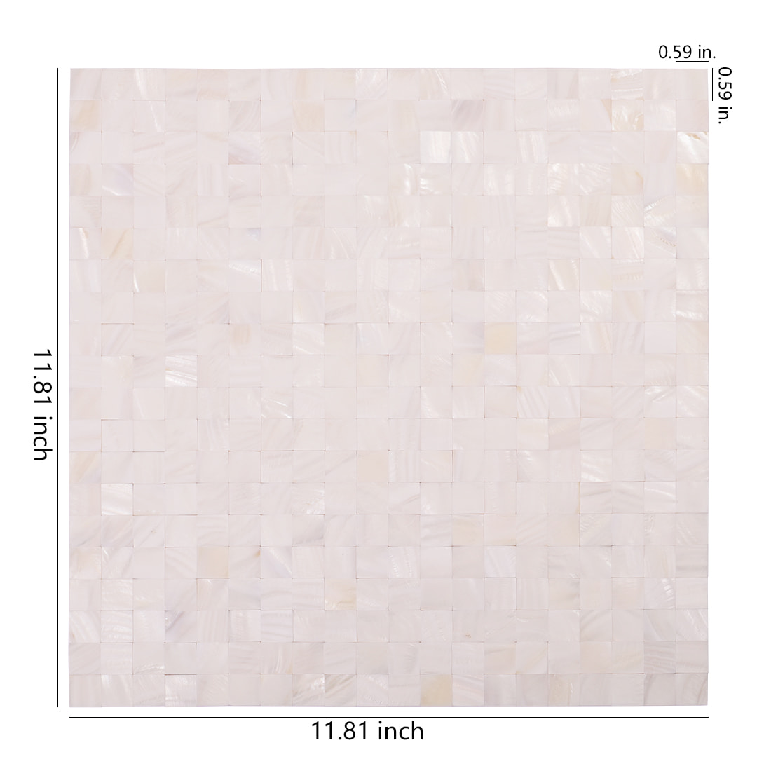 Size diagram of white shell mosaic tile sheet, 11.81 x 11.81 inches
