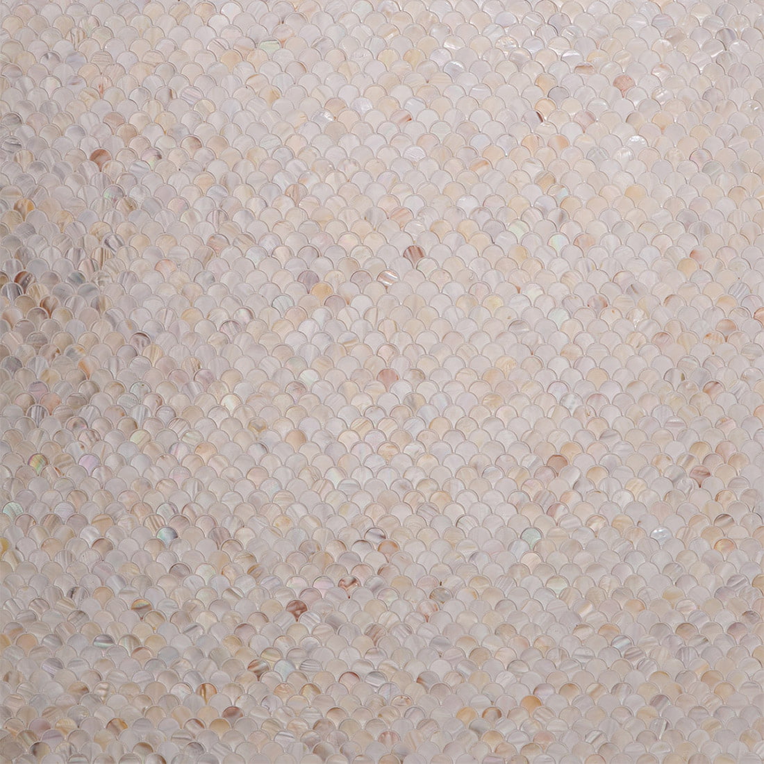 full sheet view of beige mother of pearl fan shaped mosaic tile pattern