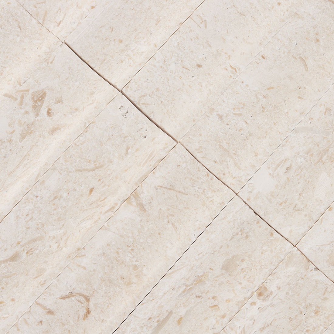 Detailed surface texture and natural fossil patterns of beige limestone.