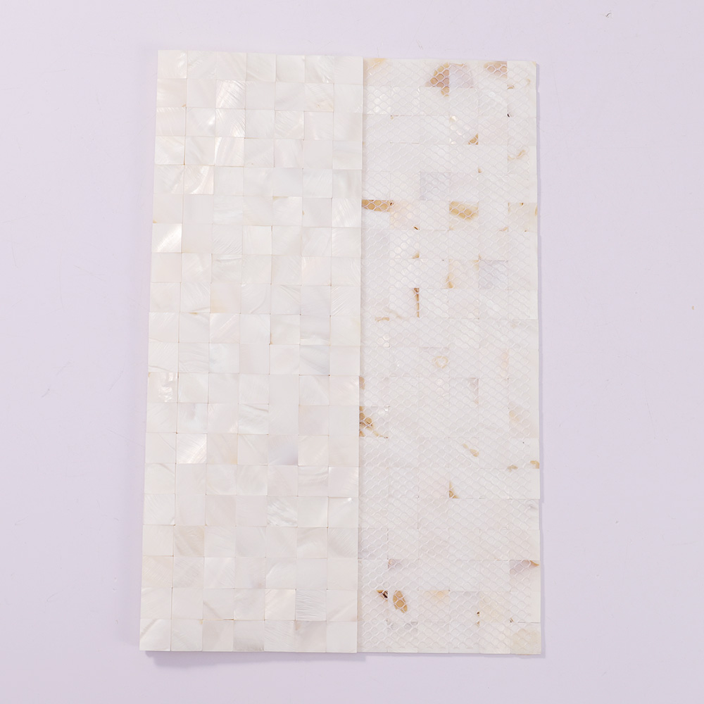 White shell mosaic tile sheet showing front and mesh backing.