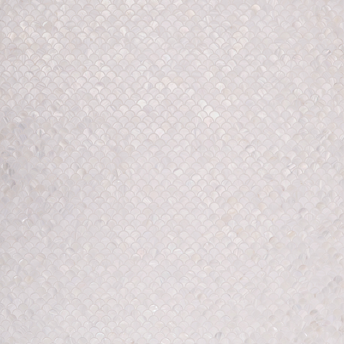 White Mother of Pearl Fan Shaped Mosaic Wall Tile