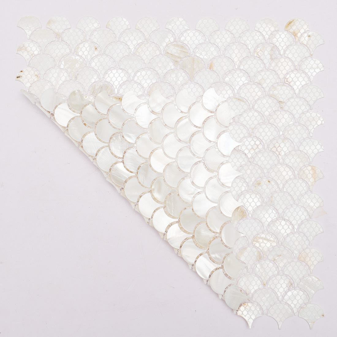 Folded white mother of pearl scallop fan mosaic tile sheet showing mesh backing