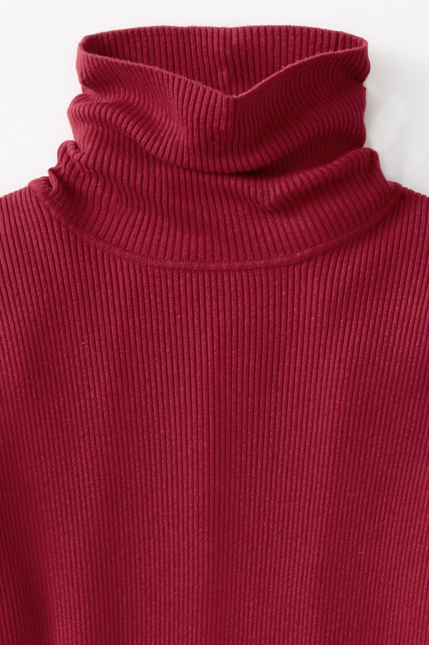 Ribbed Turtleneck Sweater