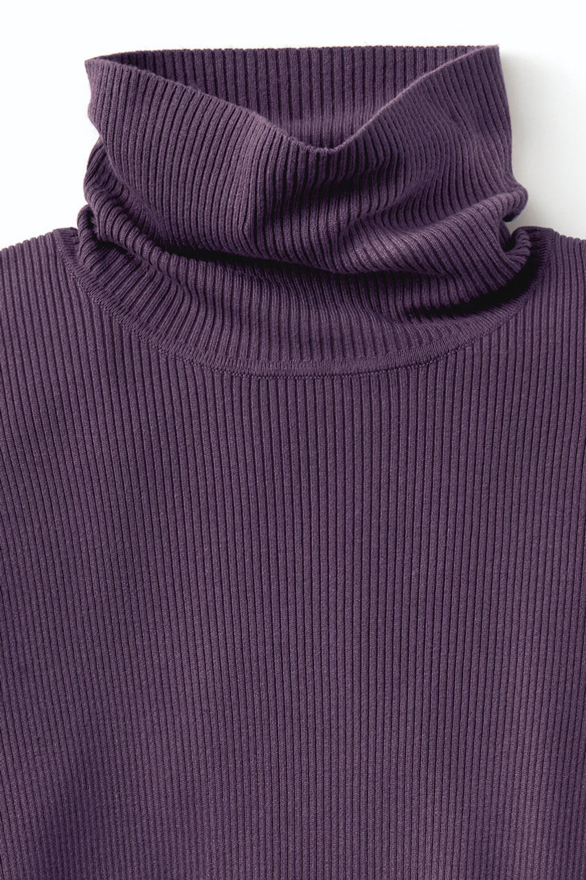 Ribbed Turtleneck Sweater