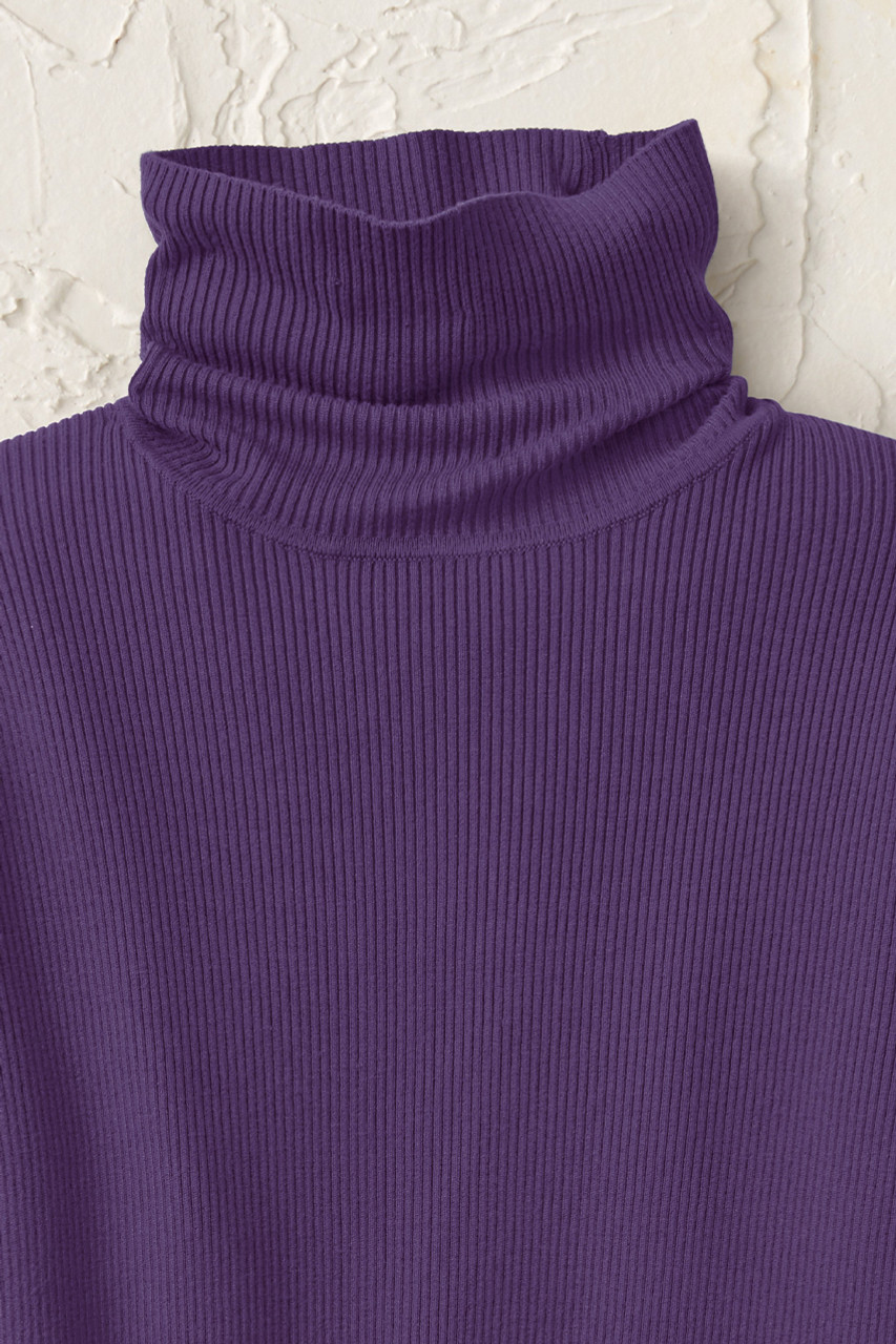 Ribbed Turtleneck Sweater