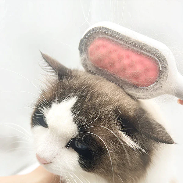 Cleaning Pet Hair