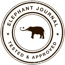Elephant Journal Approved