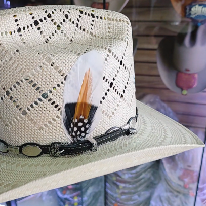 Silver Emblem Woven Cowboy Hat