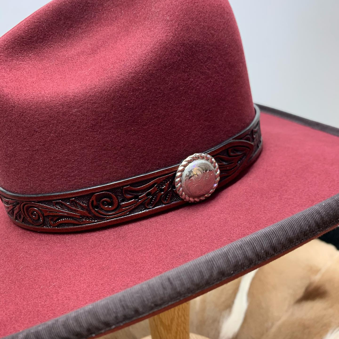 Crimson Blaze & Lone Cloud