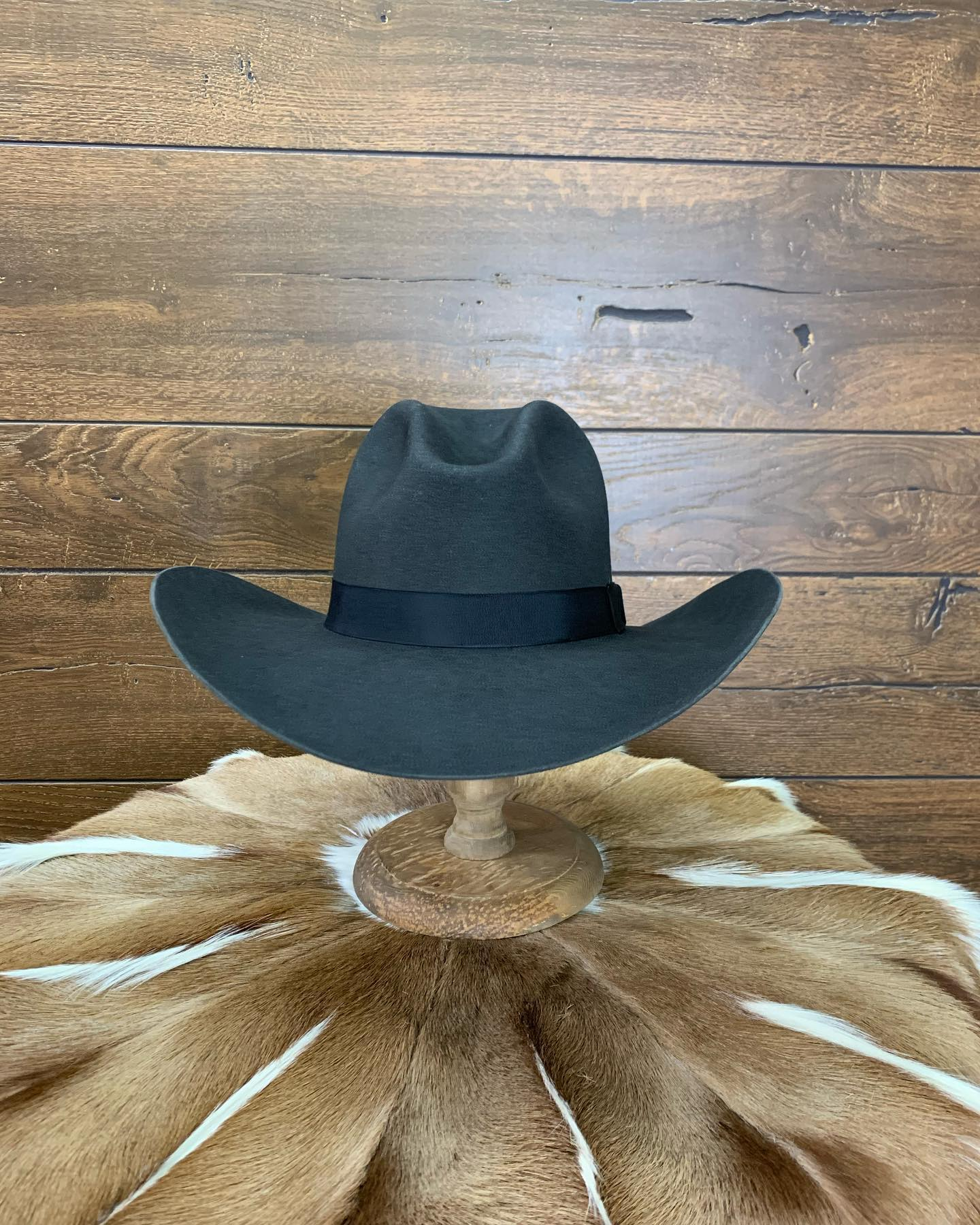 Prairie Dusk & Shadow