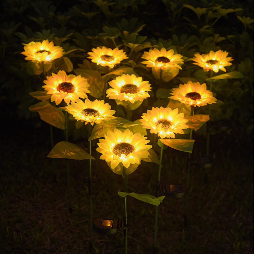 Sunflower Garden Lights 