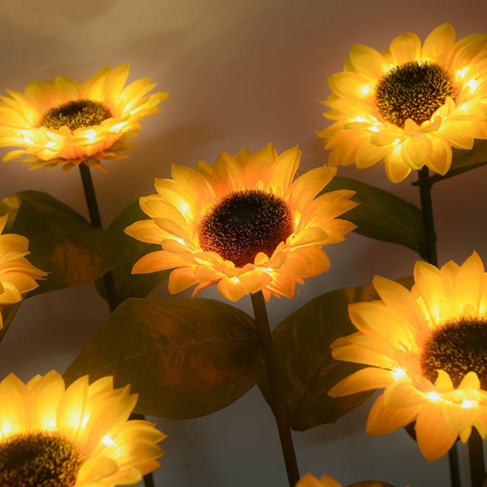 Sunflower Garden Lights 