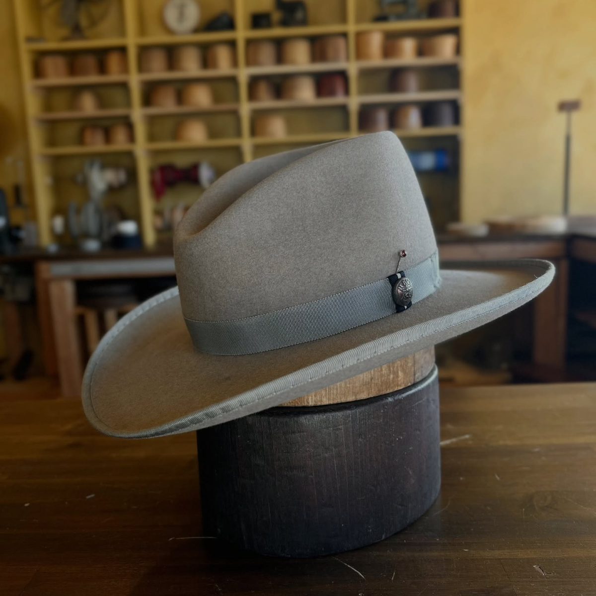 Gentleman of Grey Shadow