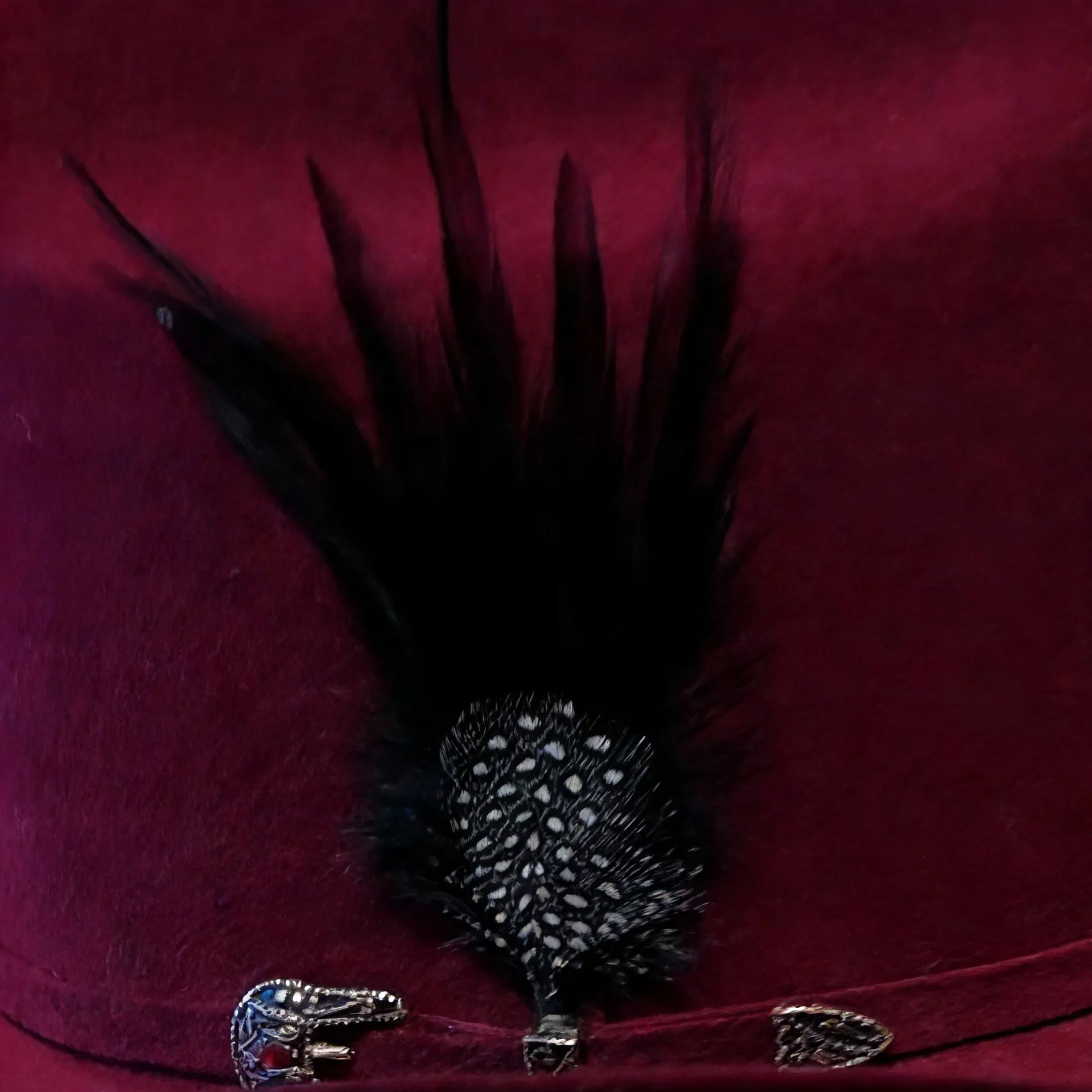 Crimson Night Feather