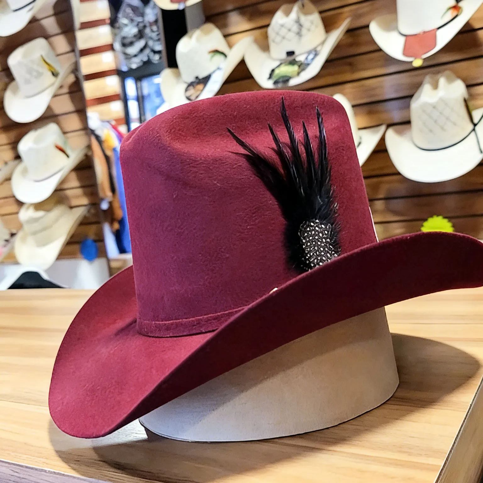 Crimson Night Feather