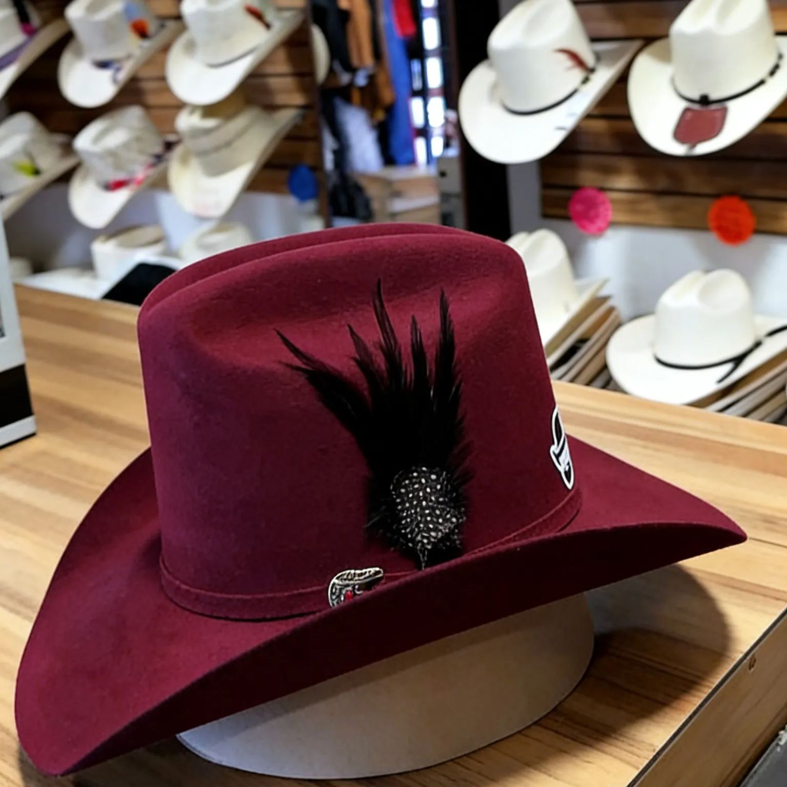 Crimson Night Feather