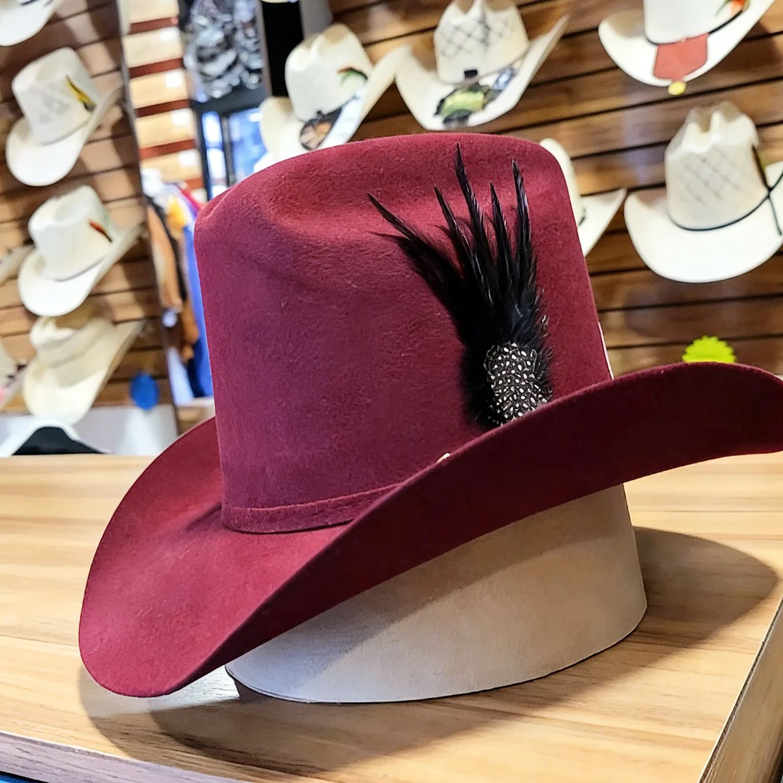 Crimson Night Feather