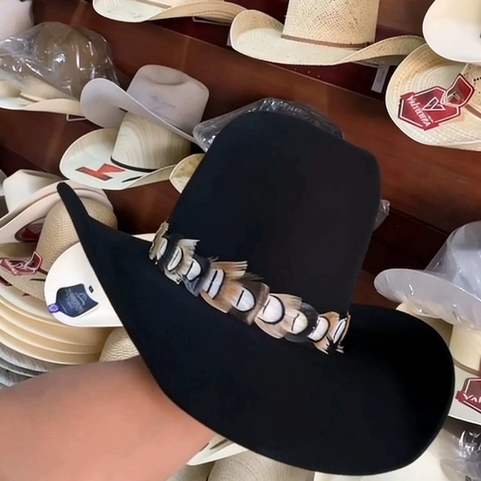 Black Feather-adorned Cowboy Hat