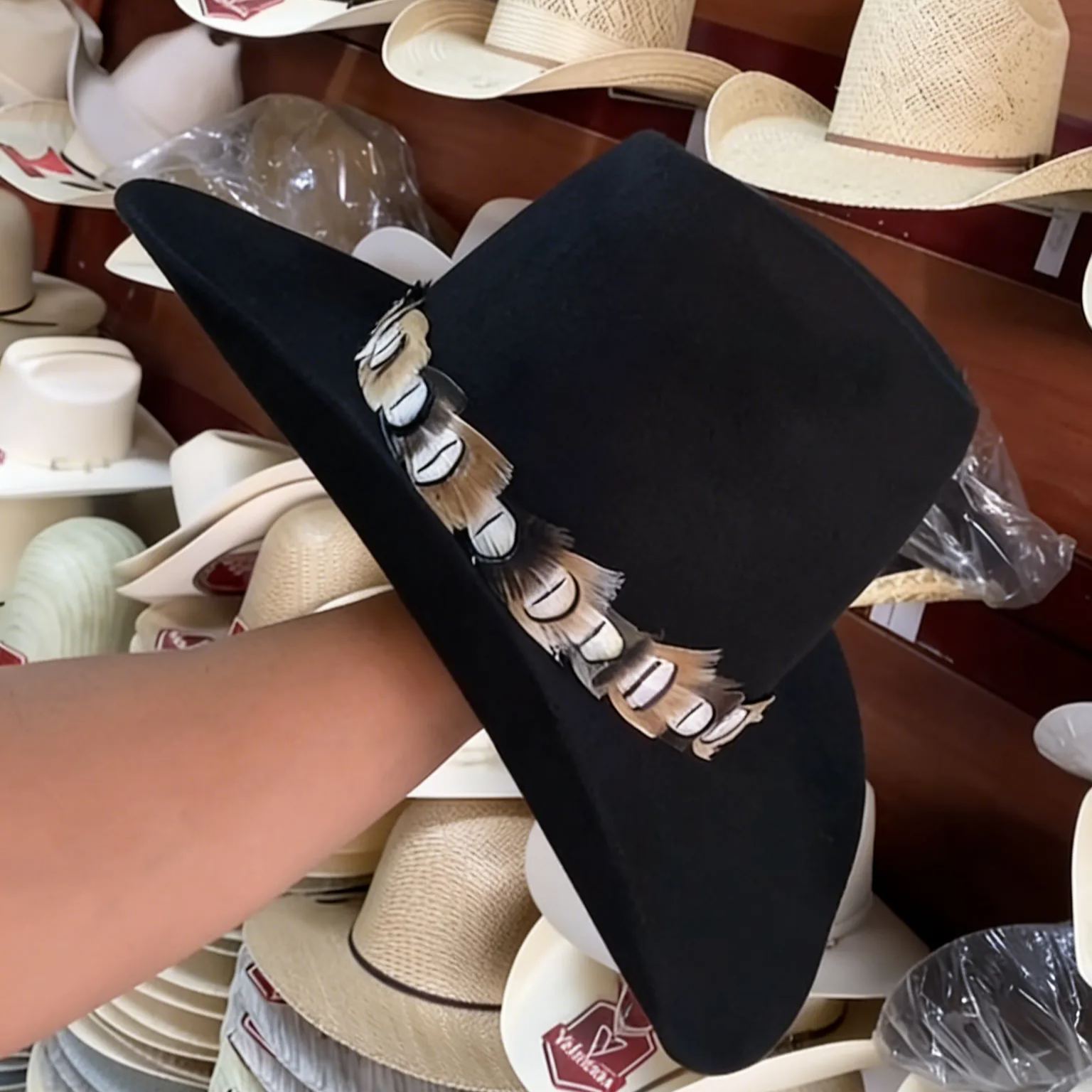 Black Feather-adorned Cowboy Hat