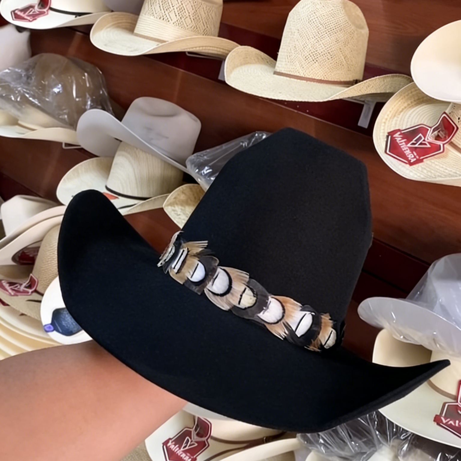 Black Feather-adorned Cowboy Hat