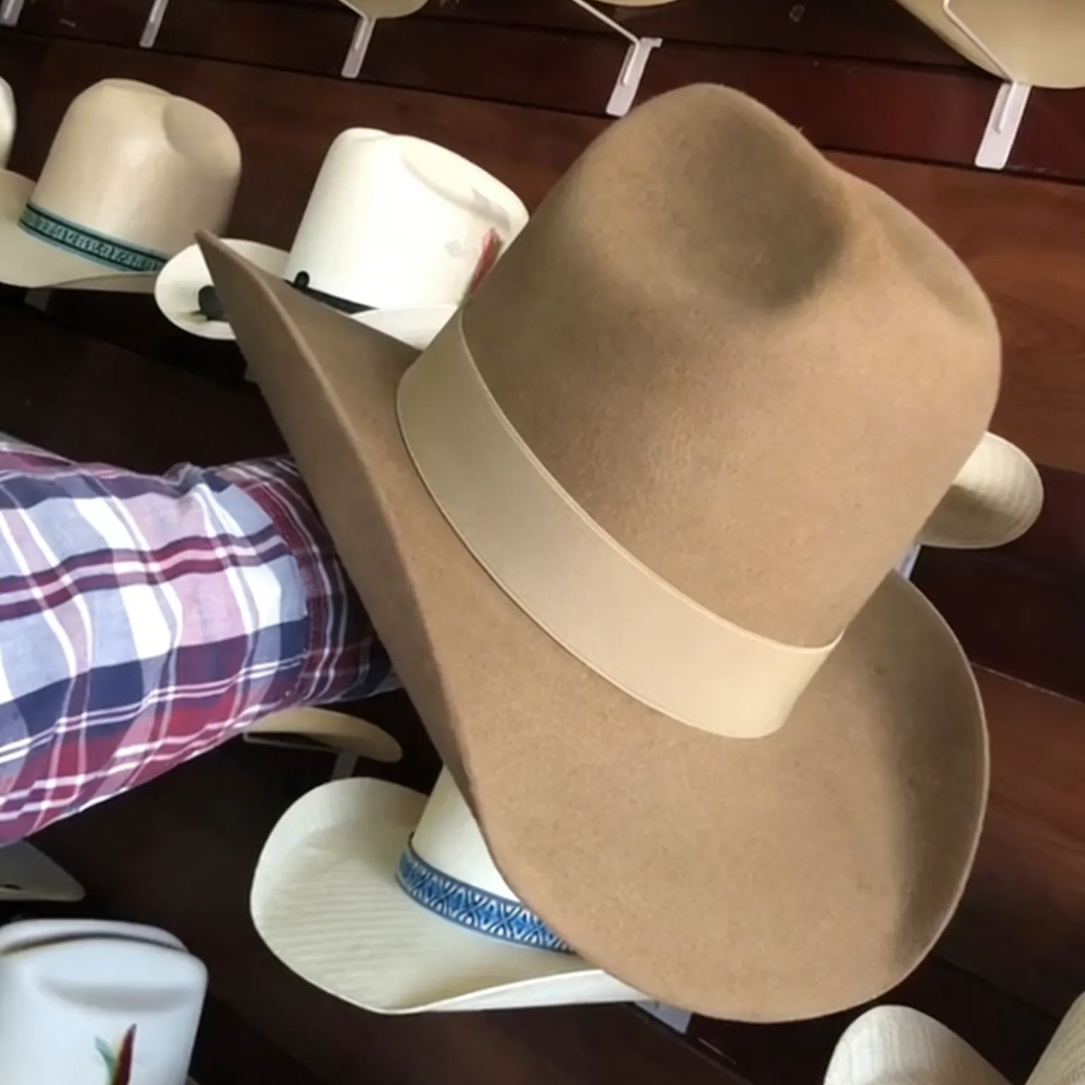 Khaki feather-trimmed cowboy hat