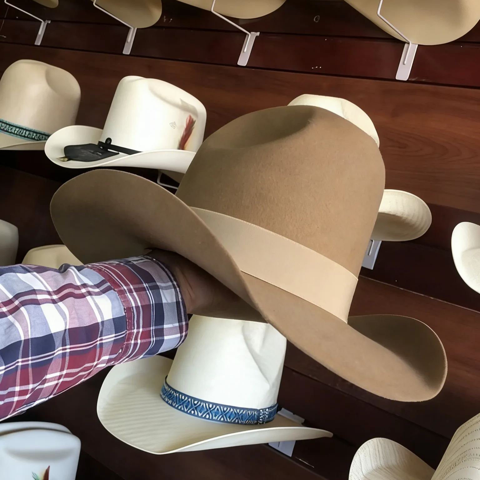 Khaki feather-trimmed cowboy hat