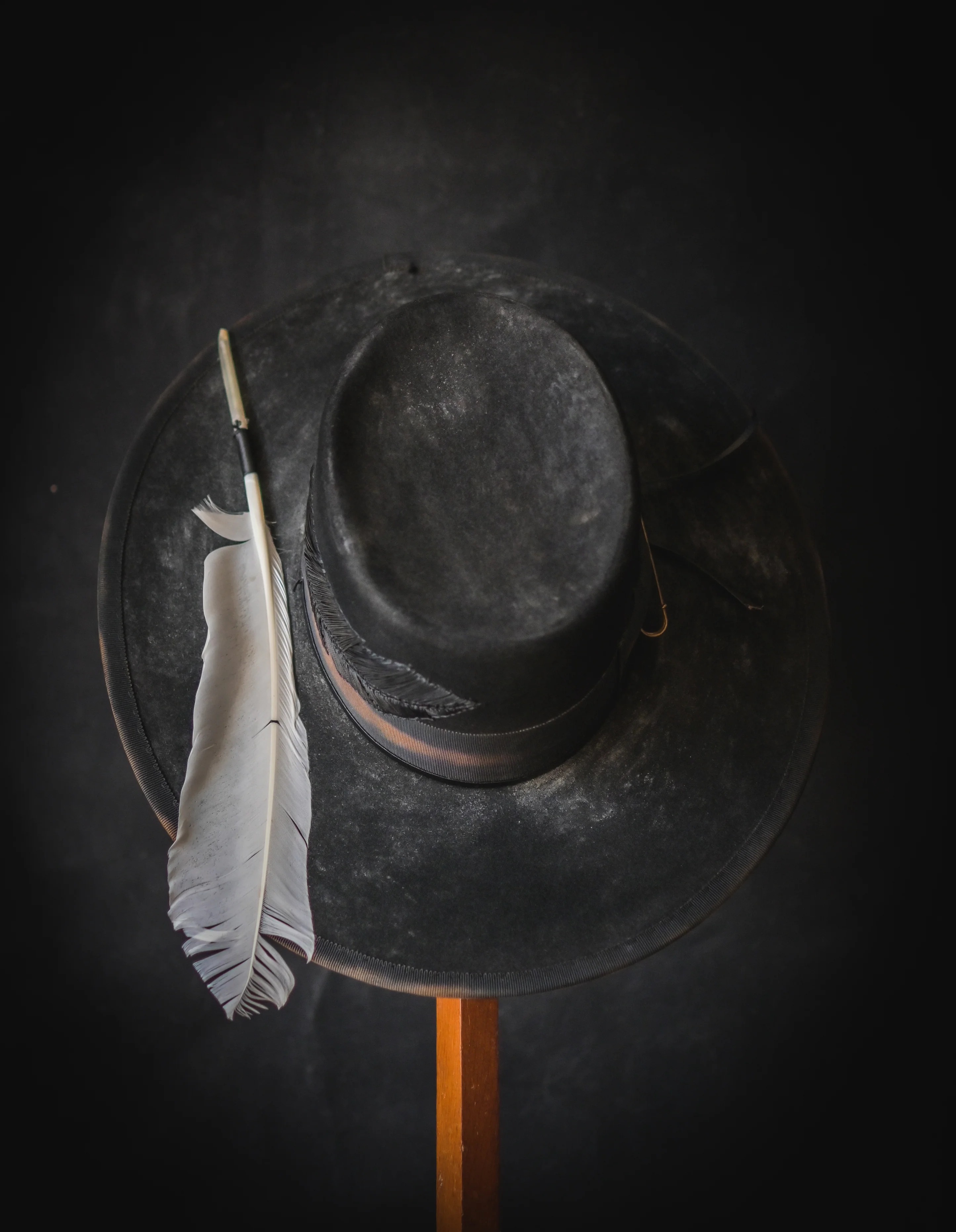 Ebon Plume Stitched Brim Hat