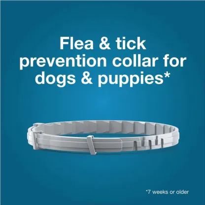 Flea and Tick Collar for Small Dogs – Premium 8-month protection against fleas, ticks, and lice
