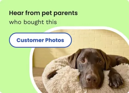 Flea and Tick Collar for Small Dogs – Premium 8-month protection against fleas, ticks, and lice