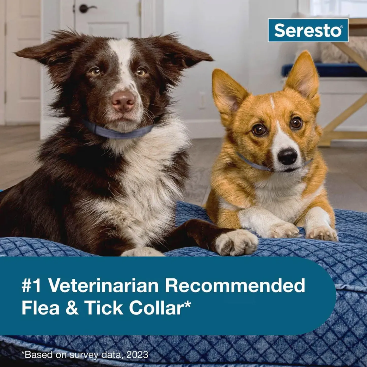 Flea and Tick Collar for Small Dogs – Premium 8-month protection against fleas, ticks, and lice