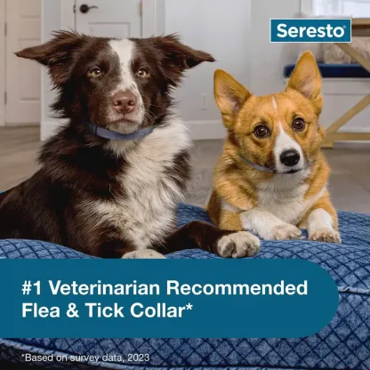 Flea and Tick Collar for Small Dogs – Premium 8-month protection against fleas, ticks, and lice