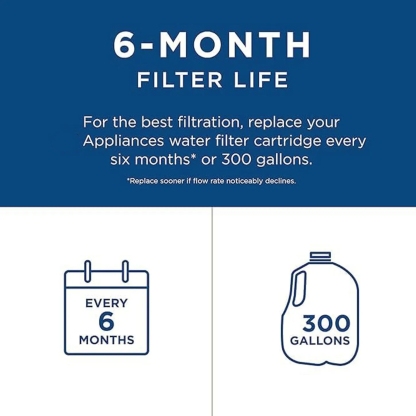 RPWFE Water Filter - White, Compatible with RPWFE Water Filter