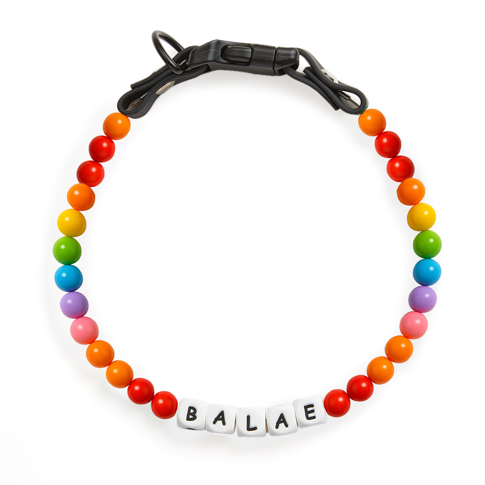Custom Name Colorful Pet Beaded Collars – Personalized Gift for Pet Lovers Perfect for International Dog Day