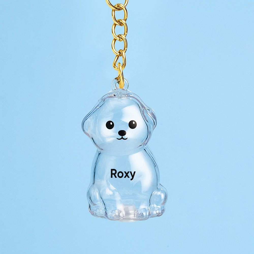 Custom Name Dog Hair Collector Keychain Bag Charm Memorial Storage Box with Text Perfect for Storing Pet Hair Gift for Dog Lovers