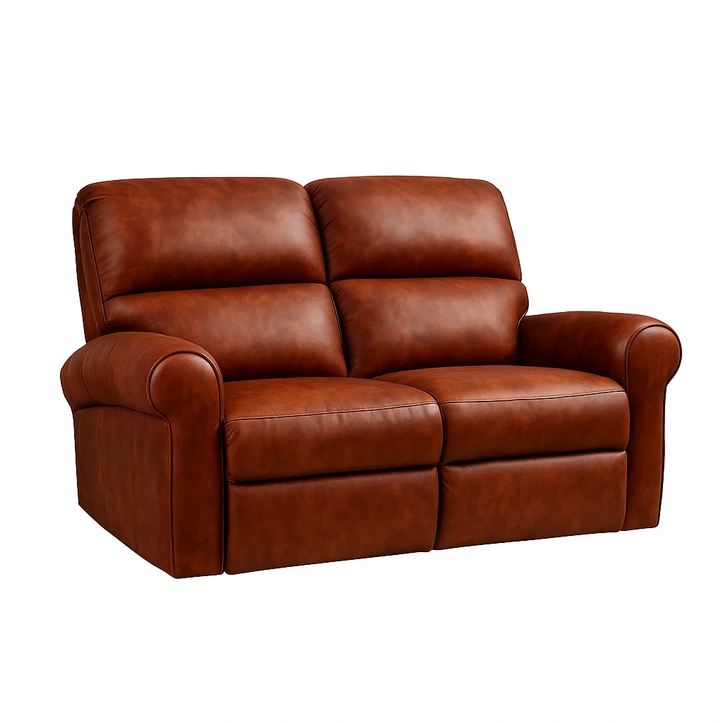 Mobilier de salon,Canapé 2 places