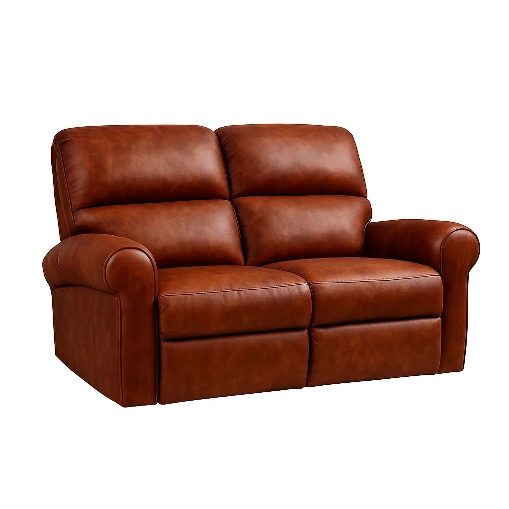 Mobilier de salon,Canapé 2 places