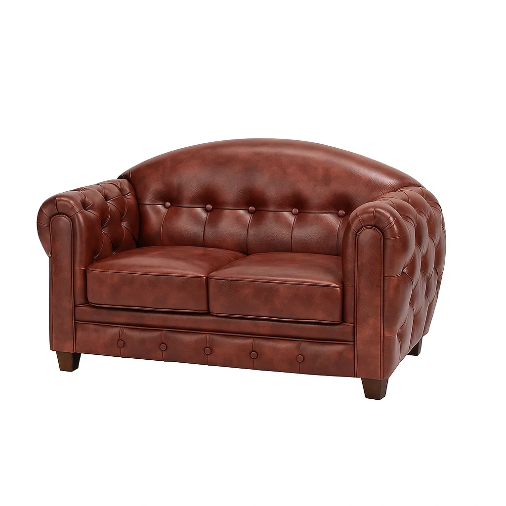 Mobilier de salon,Canapé 2 places