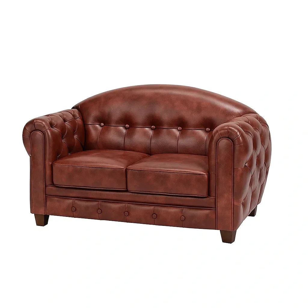 Mobilier de salon,Canapé 2 places